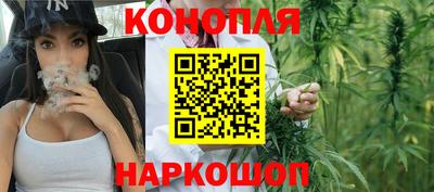ECSTASY Гатчина