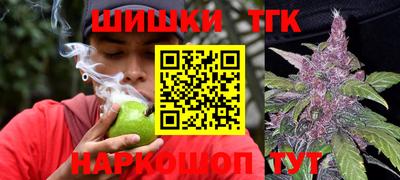 тгк Гай