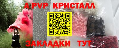 тгк Гай