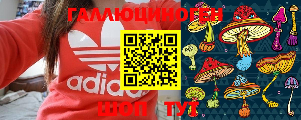 Галлюциногенные грибы GOLDEN TEACHER  Вход с VPN  Мичуринск 