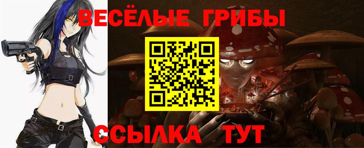 Псилоцибиновые грибы мицелий Мичуринск